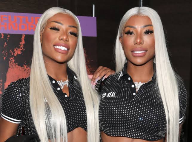 Clermont Twins Biography 