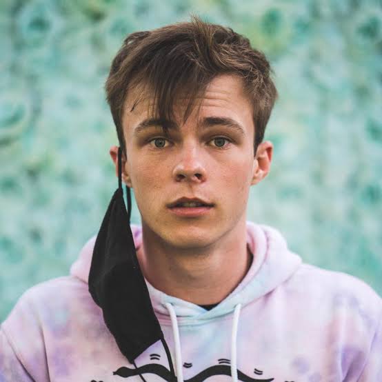 Nicholas Hamilton Biography: Age, Wife, Net Worth, Parents, Siblings, Wikipedia, Girlfriend, Movies, Height