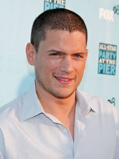 Is Wentworth Miller Married, Who is the Wife or Partner?