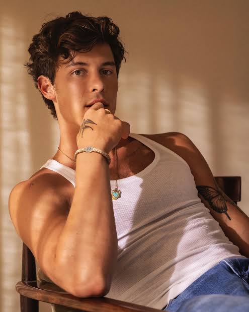 Shawn Mendes Biography: Age, Family, Education, Career, Net Worth, Girlfriend, Songs, Awards and Nominations, Social Media