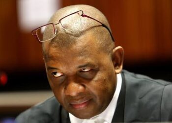 Dali Mpofu Biography: Age, Net Worth, Wife, Parents, Siblings, Children, Family, Pictures, Wedding, House, Cars