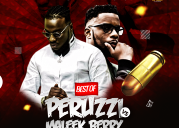 Best of Peruzzi & Maleek Berry DJ Mixtape 2024
