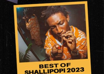Best of Shallipopi DJ Mixtape 2024