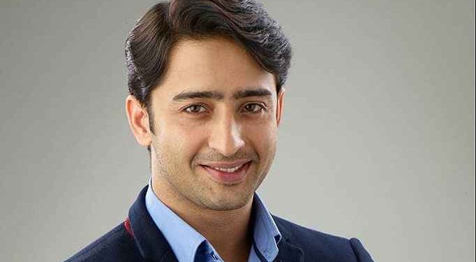 Shaheer Sheikh Biography: Age, Net Worth, Movies, Father, Wife, Children, Family, Nationality, Parents, Wikipedia 