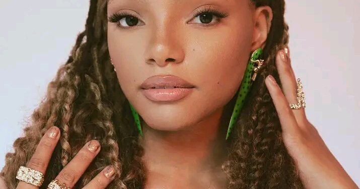 Halle Bailey Biography: Age, Birthday, Nationality, Boyfriend, Kids ...