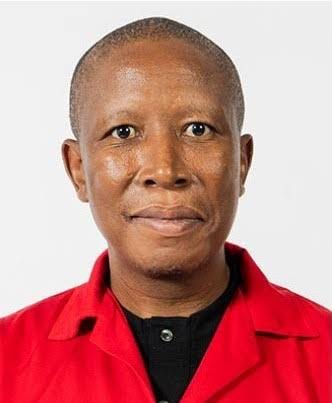 Julius Malema photo 