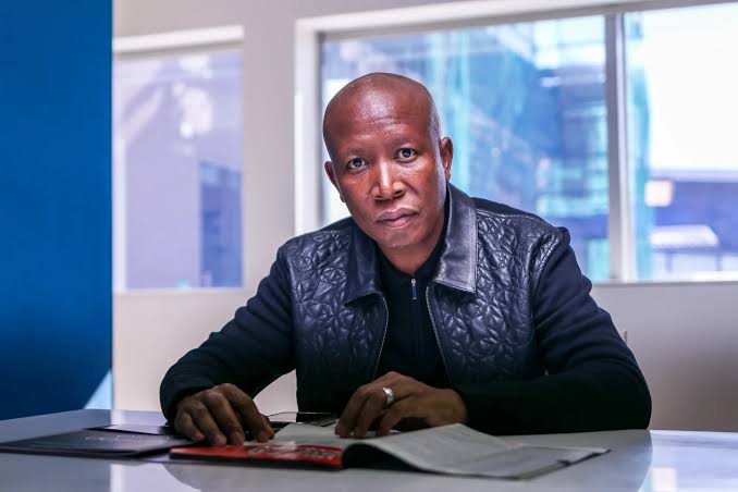 Julius Malema photo